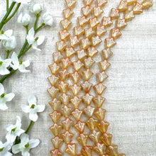 Load image into Gallery viewer, 9mm Daylily Transparent Honey with Shimmer and Pink Wash
