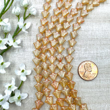 Load image into Gallery viewer, 9mm Daylily Transparent Honey with Shimmer and Pink Wash
