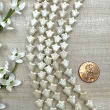 Load image into Gallery viewer, 9mm Daylily Ivory Luster
