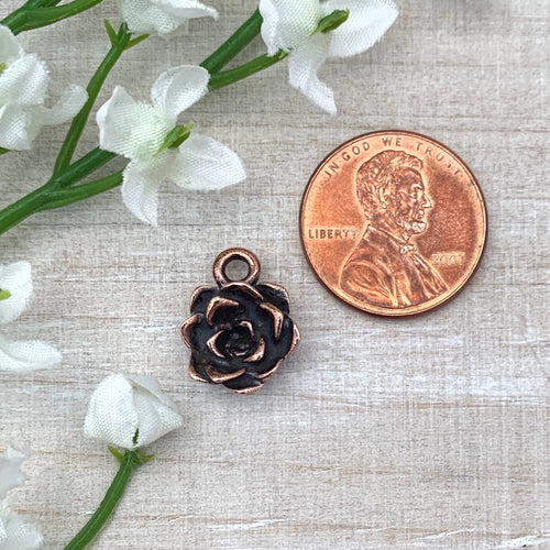 Succulent Charm Antiqued Copper