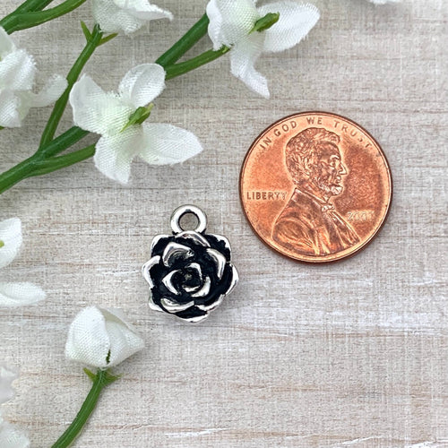 Succulent Charm Antiqued Silver