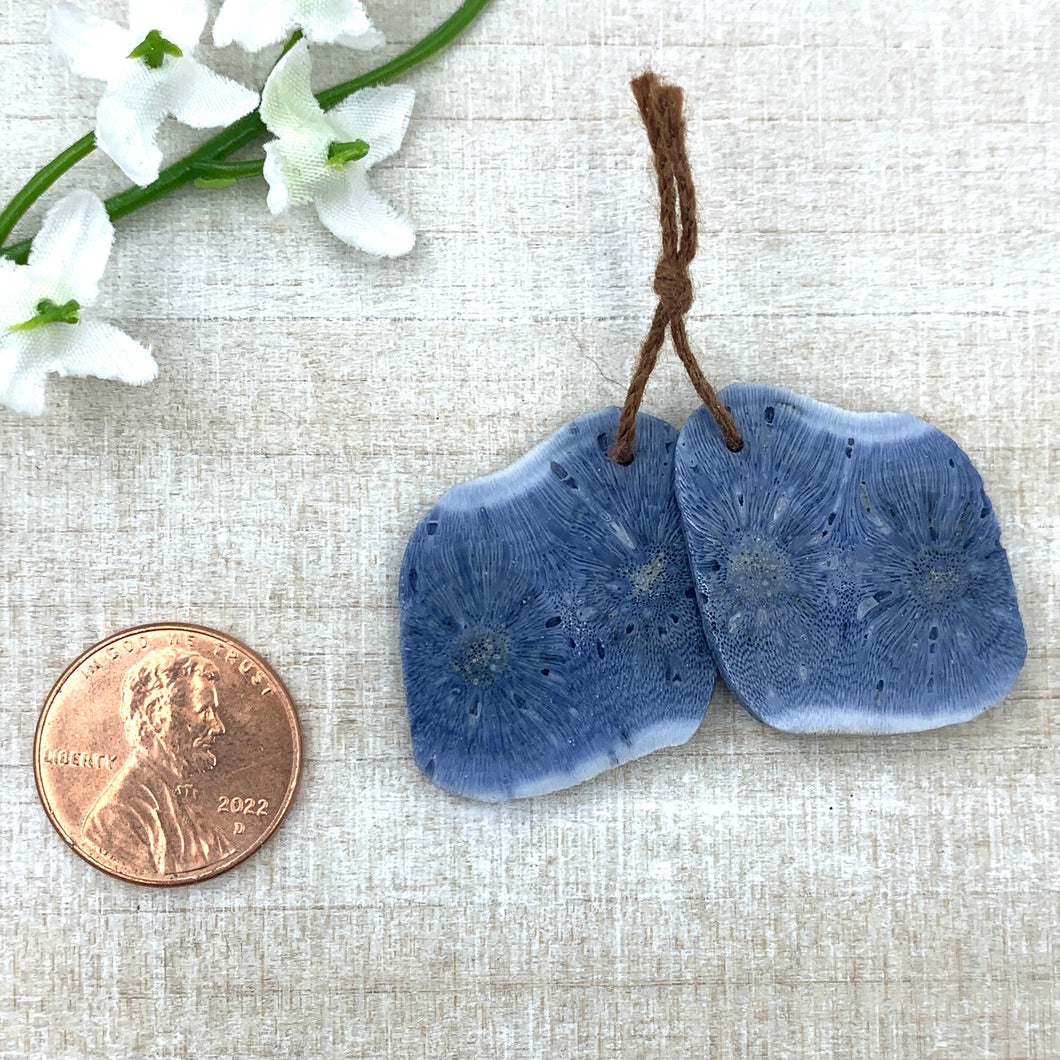 Blue Coral Slab Pair